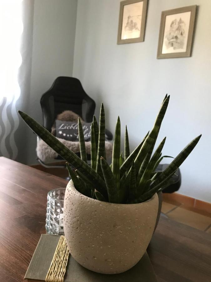 Ferienwohnung Frevel Pommern Buitenkant foto
